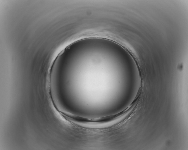 X0000092081528200709191214