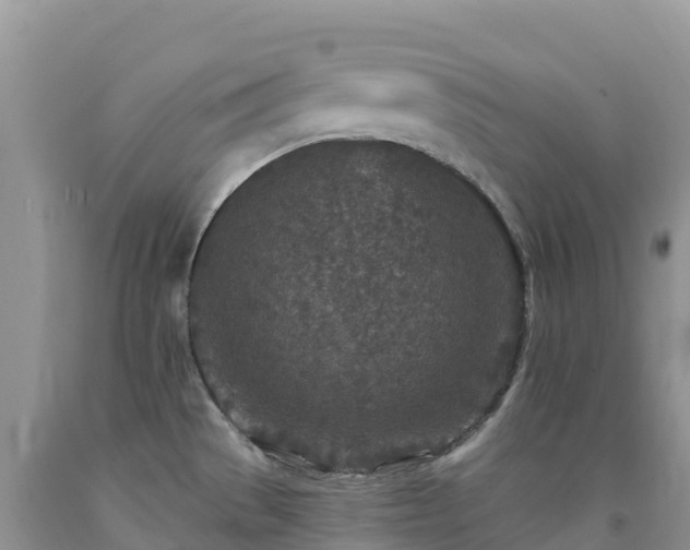 X0000092081529200709191214