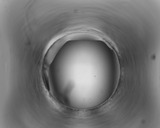 X0000092081530200709191214