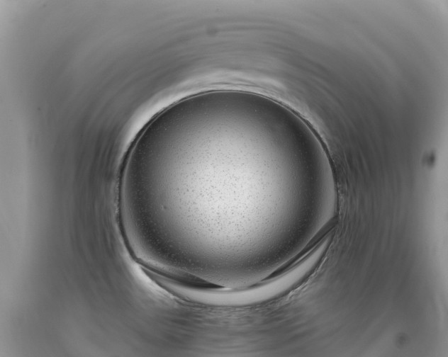 X0000092081531200709191214