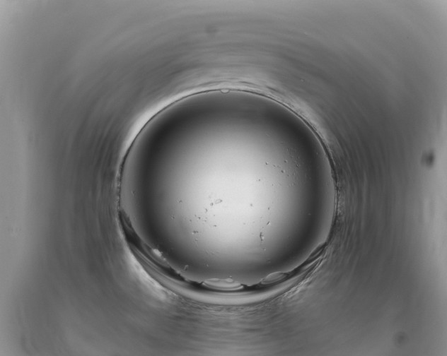 X0000092081532200709191214