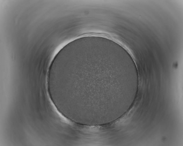 X0000092081533200709191214