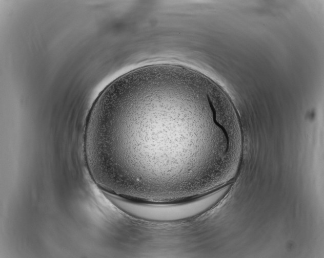 X0000092081534200709191214