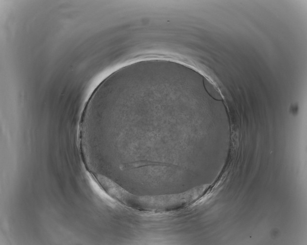 X0000092081535200709191214