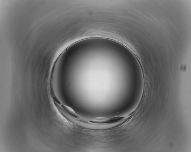 X0000092081536200709191214