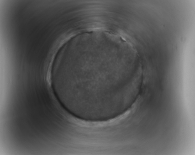 X0000092080002200709262113