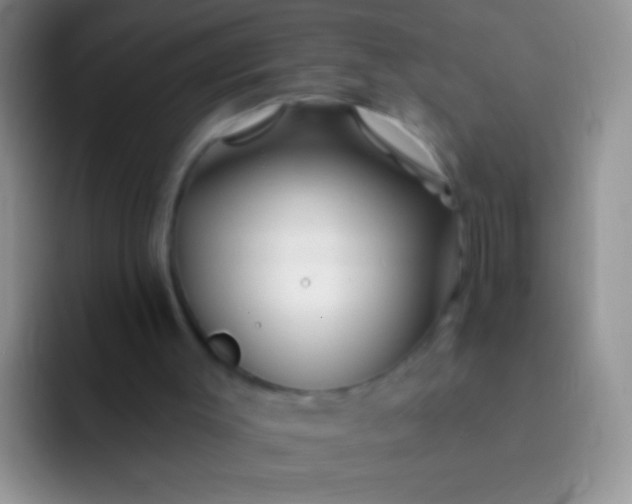 X0000092080003200709262113