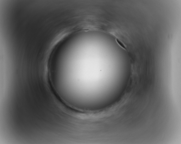 X0000092080005200709262113