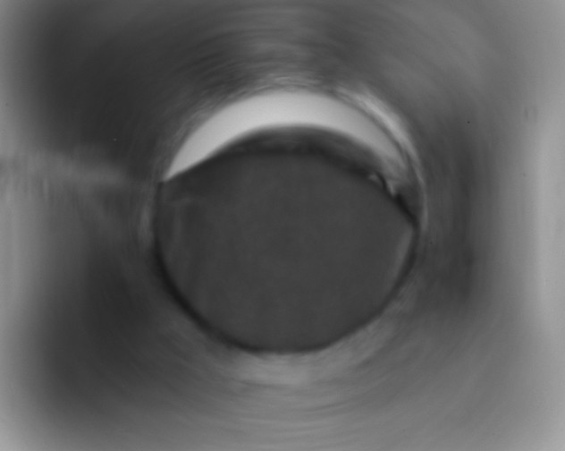 X0000092080009200709262113