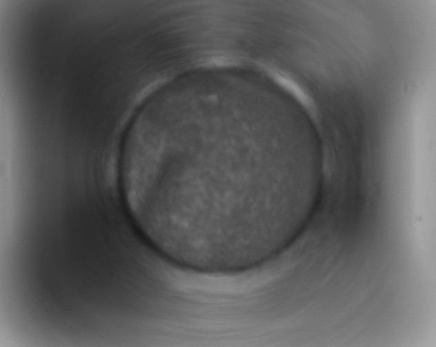 X0000092080010200709262113