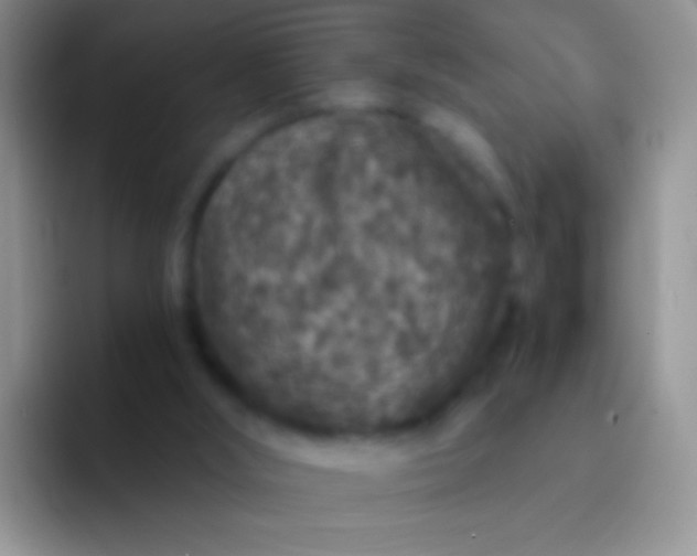 X0000092080012200709262113