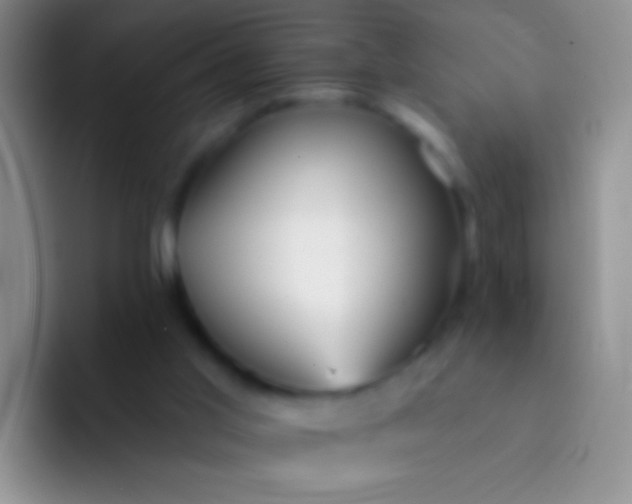 X0000092080013200709262113