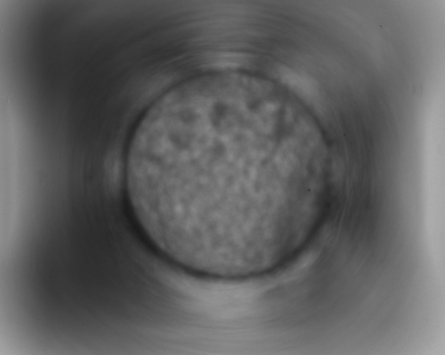 X0000092080016200709262113