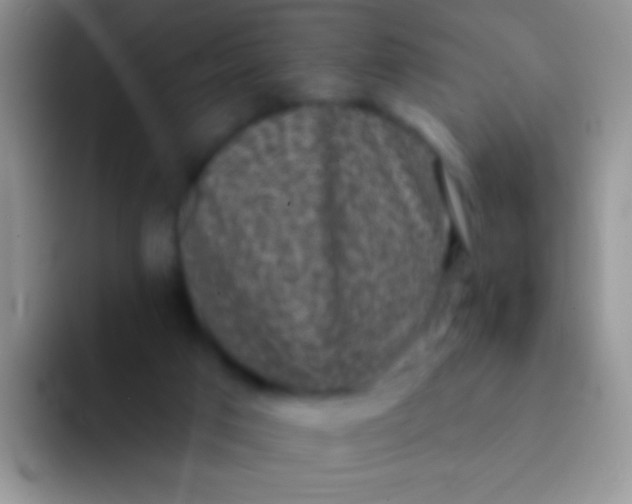 X0000092080017200709262113