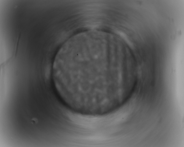 X0000092080018200709262113