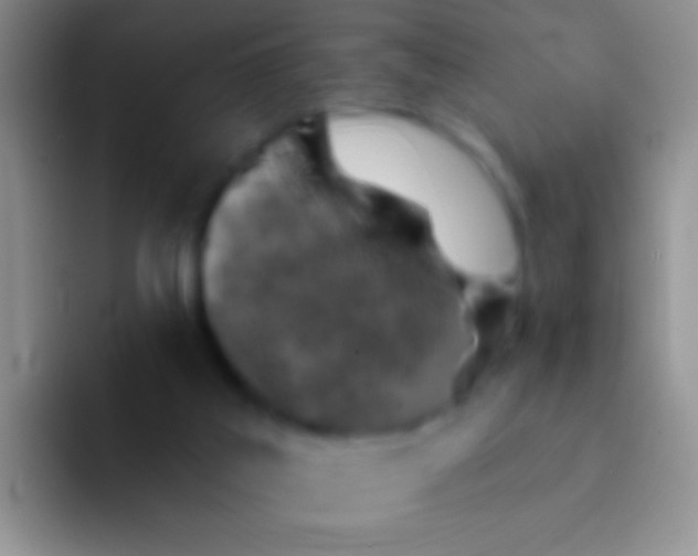 X0000092080019200709262113