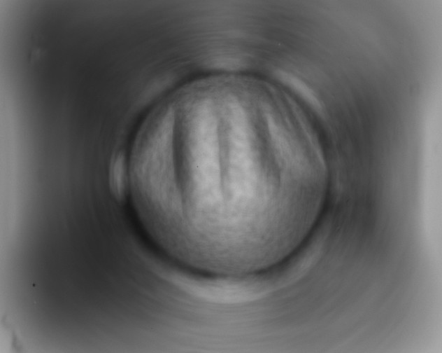 X0000092080020200709262113