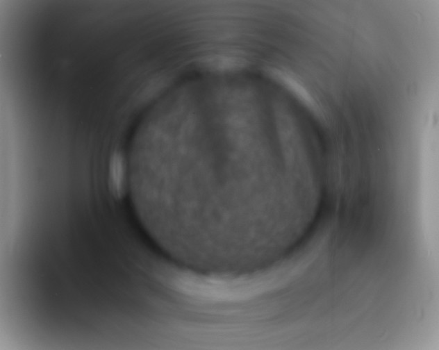 X0000092080022200709262113