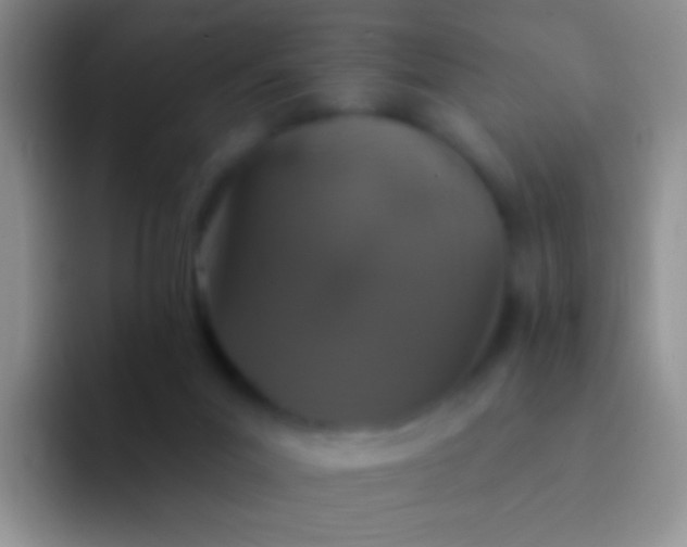 X0000092080023200709262113