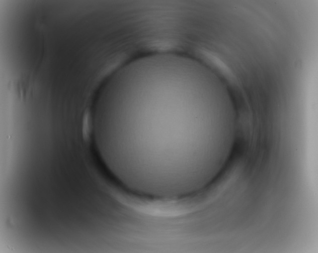 X0000092080024200709262113