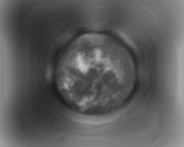 X0000092080026200709262113