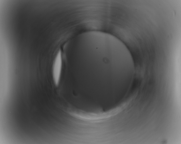 X0000092080027200709262113