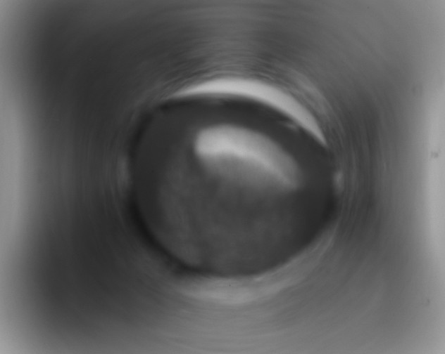 X0000092080029200709262113