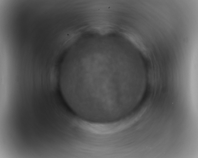 X0000092080030200709262113