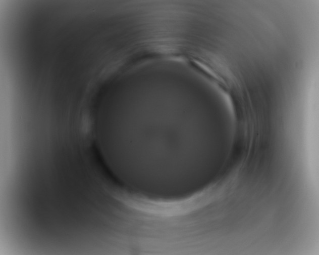 X0000092080031200709262113