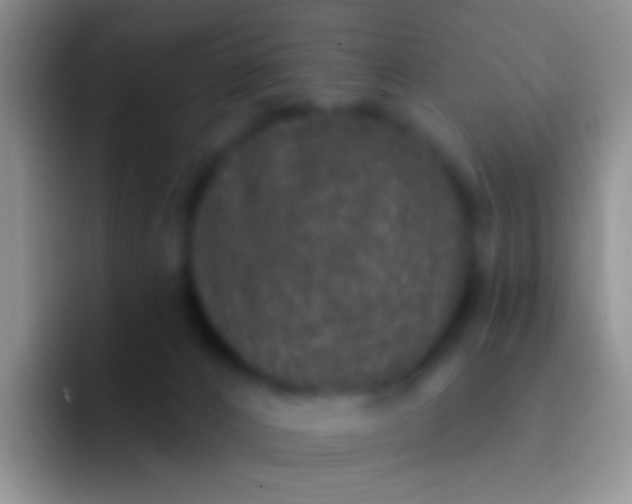 X0000092080032200709262113