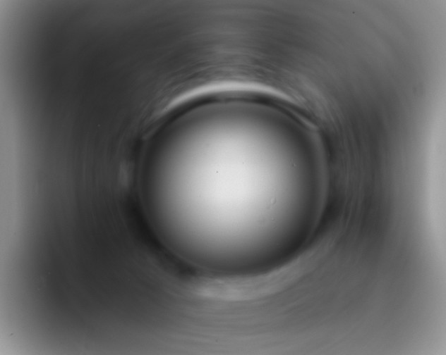 X0000092080033200709262113