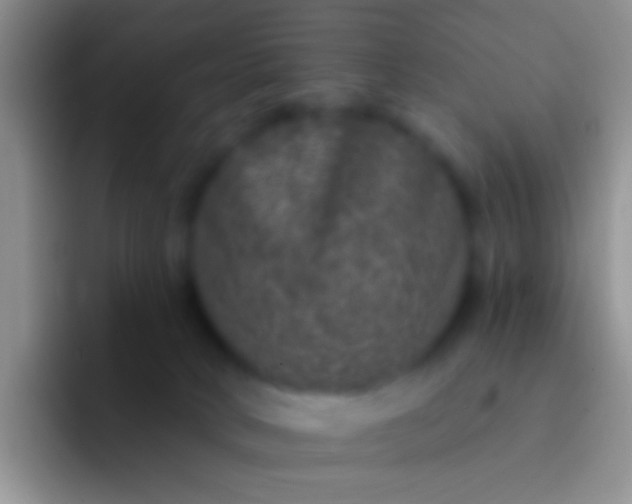 X0000092080034200709262113