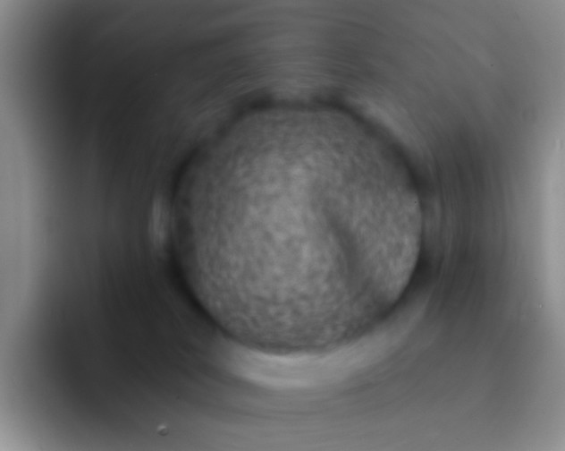 X0000092080038200709262112