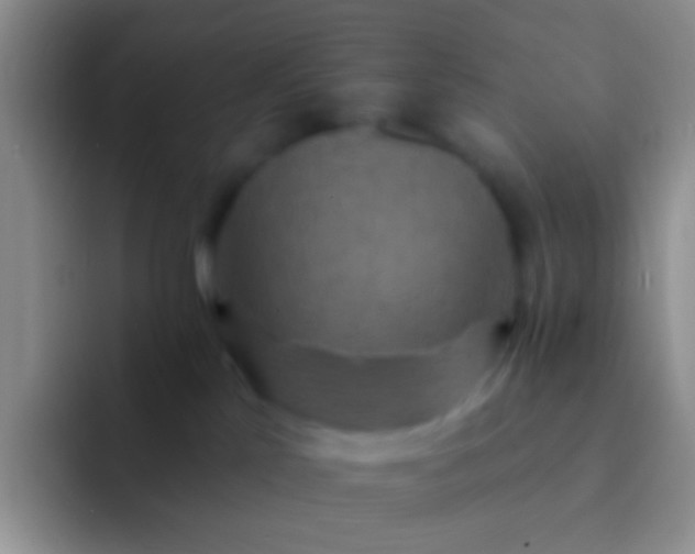 X0000092080041200709262112