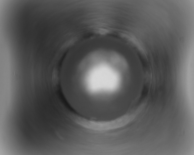 X0000092080043200709262112