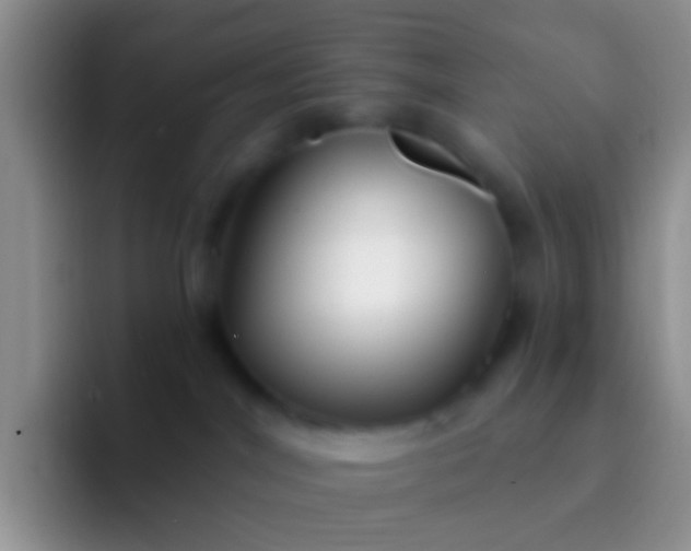 X0000092080044200709262112