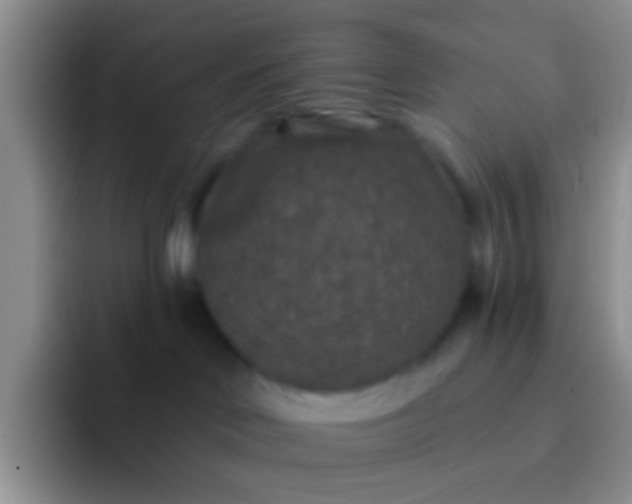 X0000092080046200709262112