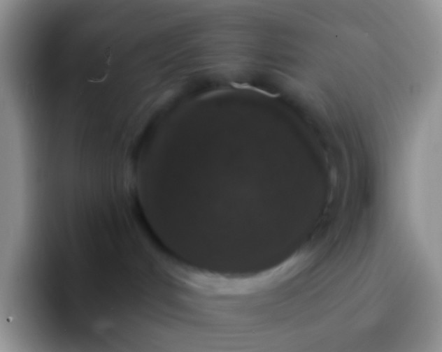 X0000092080048200709262112