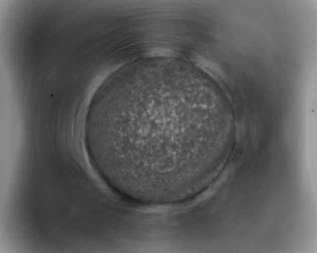 X0000092080049200709262112