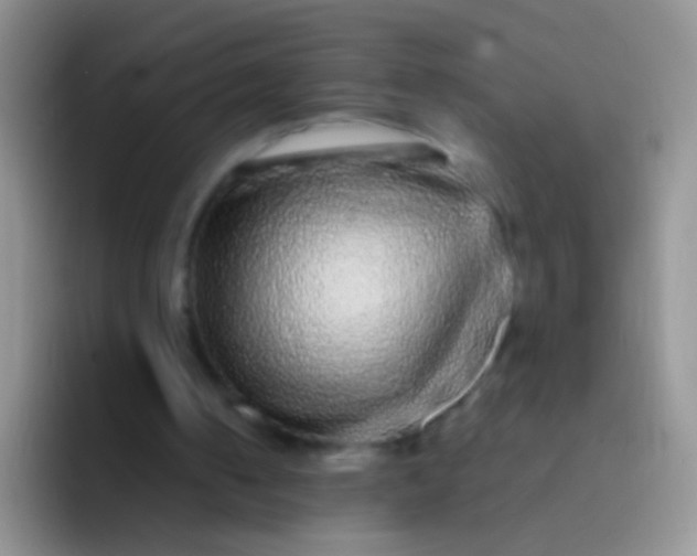 X0000092080050200709262112