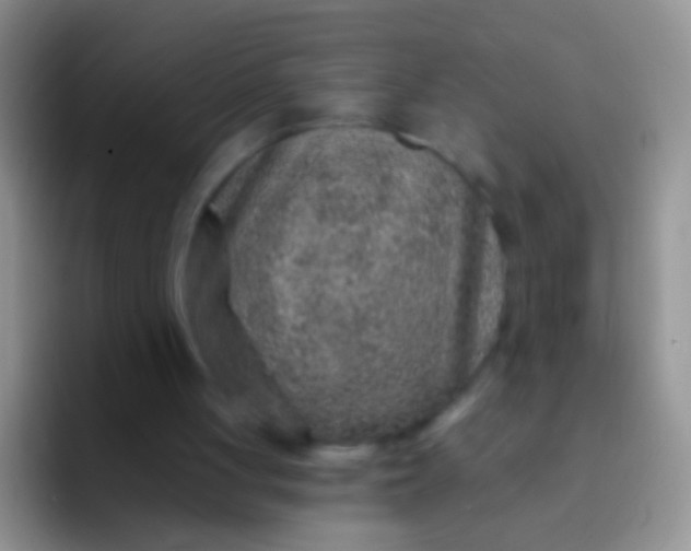 X0000092080051200709262112