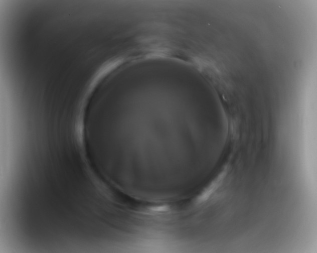 X0000092080054200709262112