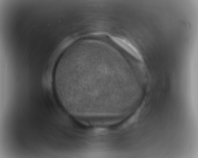 X0000092080055200709262112