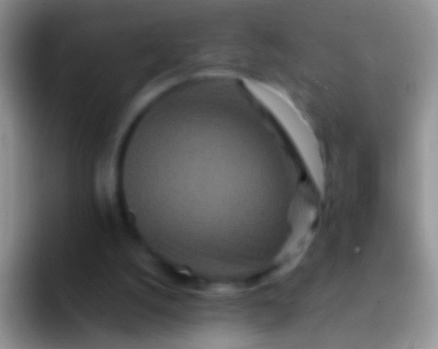 X0000092080056200709262112