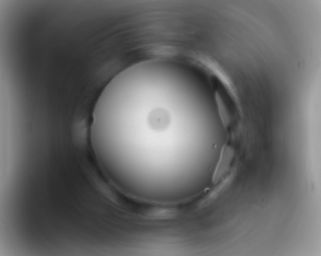 X0000092080057200709262112