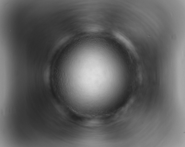 X0000092080058200709262112