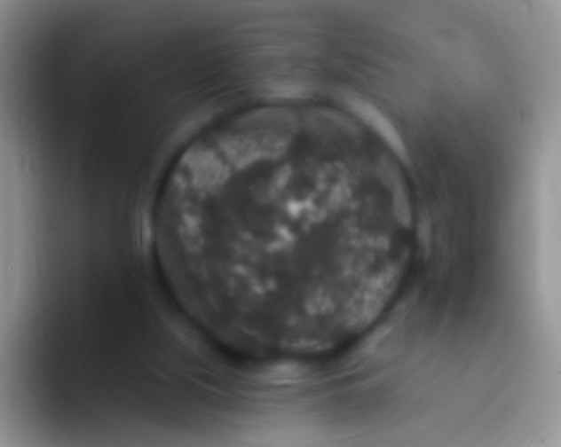 X0000092080059200709262112