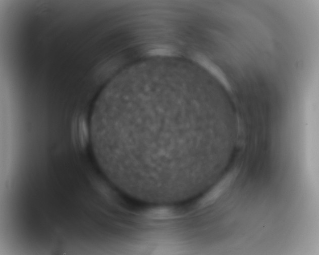 X0000092080061200709262112