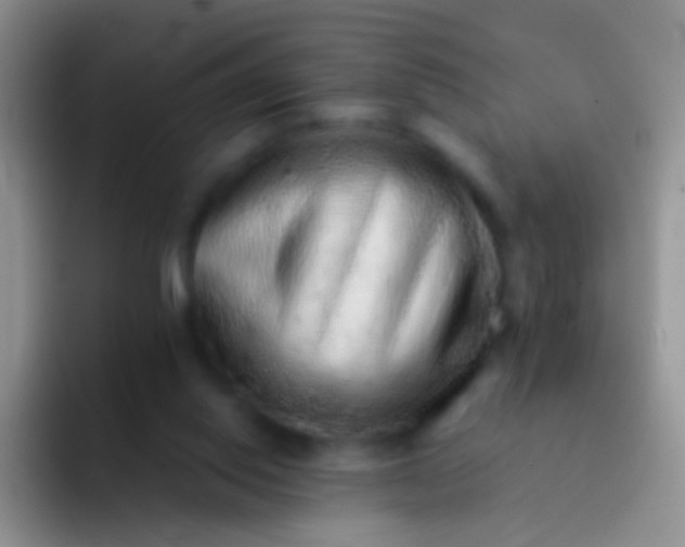 X0000092080062200709262112