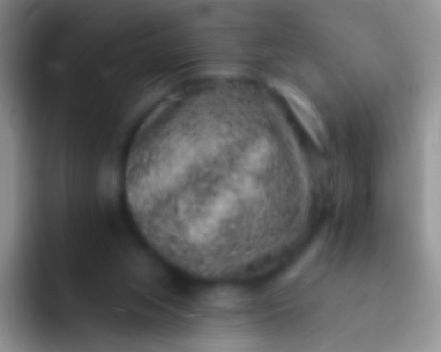 X0000092080063200709262112